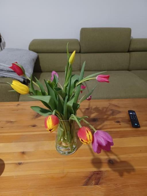 Apartment Schöne Sehr Zentral 94 Quadratmeterhoche Decke