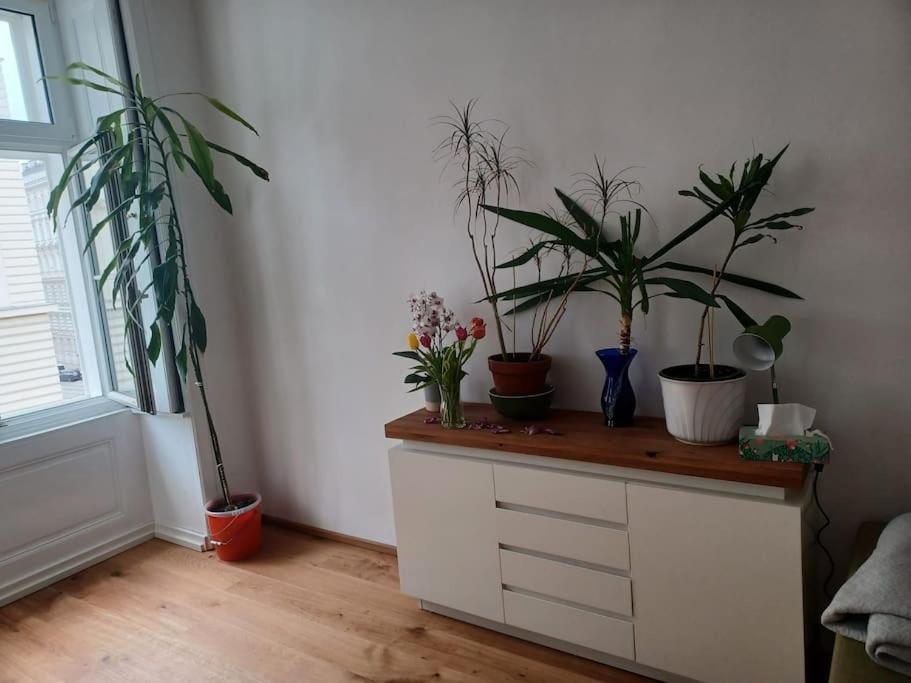 Schöne Sehr Zentral 94 Quadratmeterhoche Decke Apartment Wien